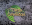 Mitos Y Leyendas Online