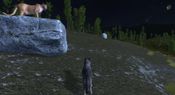 WolfQuest