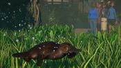 Planet Zoo: Wetlands Animal Pack (DLC) (PC) Steam Key GLOBAL for sale