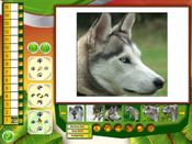 Get The Wildlife Creative Studio (PC) Steam Key GLOBAL