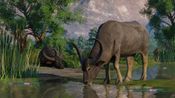 Planet Zoo: Wetlands Animal Pack (DLC) (PC) Steam Key GLOBAL