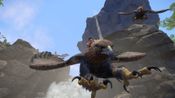 Redeem Wander