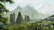 The Elder Scrolls V: Skyrim Switch for sale