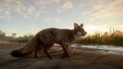 theHunter: Call of the Wild - Mississippi Acres Preserve (DLC) (PC) Steam Key GLOBAL for sale