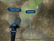 COSM Steam Key GLOBAL