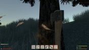 Buy THE LONE ISLAND SURVIVAL