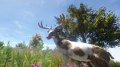 Get Animallica  Steam Key GLOBAL