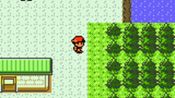 Pokémon Silver Game Boy Color