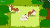Animal Herding for sale