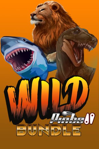 Wild Pinball Bundle XBOX LIVE Key ARGENTINA