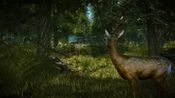 Get The Witcher 2: Assassins of Kings (Enhanced Edition) Gog.com Key GLOBAL