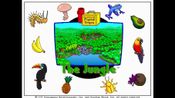 Let's Explore The Jungle (Junior Field Trips)