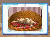 Petz Catz 2 Wii