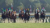 Buy Winning Post 9