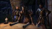 The Elder Scrolls Online Standard Edition (PC) Official Website Key GLOBAL