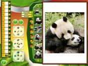 The Wildlife Creative Studio (PC) Steam Key GLOBAL