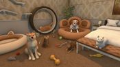 Pets Bundle PC/XBOX LIVE Key ARGENTINA