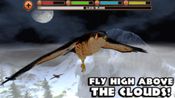 Falcon Simulator