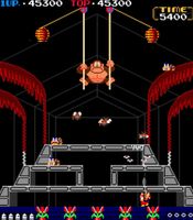 Buy Arcade Archives DONKEY KONG 3
