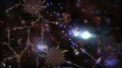Stellatum for sale