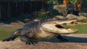 Planet Zoo: North America Animal Pack (DLC) (PC) Steam Key GLOBAL for sale