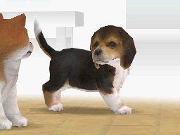 Nintendogs: Chihuahua & Friends Nintendo DS