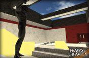 Get The Flaws of Gravity