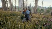 Get PlayerUnknown's Battlegrounds Steam Key GLOBAL