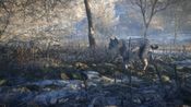 Redeem theHunter: Call of the Wild - Medved-Taiga (DLC) (PC) Steam Key GLOBAL