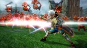 Buy Hyrule Warriors Wii U