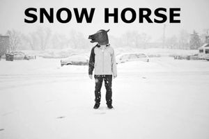 Snow Horse