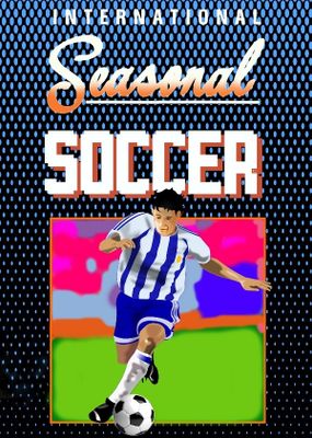 Seasonal Soccer game cover
