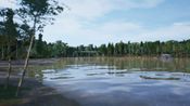 Redeem Bassmaster Fishing 2022: Jordan Lake (DLC) (PC) Steam Key GLOBAL