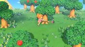 Buy Animal Crossing: New Horizons (Nintendo Switch) eShop Key UNITED STATES