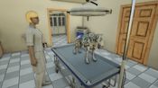Buy Animal Doctor (Nintendo Switch) eShop Key EUROPE