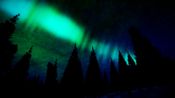ALASKA (PC) Steam Key GLOBAL for sale