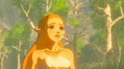 Buy The Legend of Zelda: Breath of the Wild (Nintendo Switch) eShop Key UNITED STATES