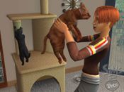 The Sims 2: Pets Game Boy Advance for sale