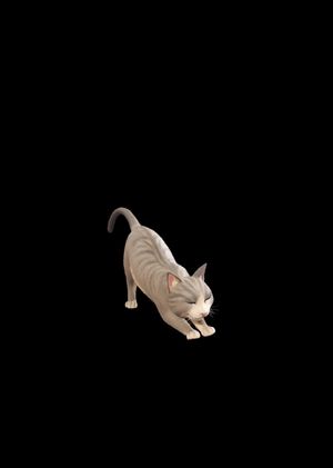 Fortnite - The Best Cat Sidekick (DLC) Epic Games Key GLOBAL