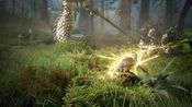 Get Black Desert: Conqueror Edition XBOX LIVE Key UNITED STATES
