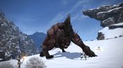 Get Final Fantasy XIV: Starter Edition Official website Key EUROPE