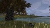 Buy Wurm Unlimited Steam Key GLOBAL