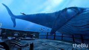 theBlu for sale