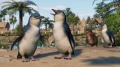 Planet Zoo: Oceania Pack (DLC) (PC) Steam Key GLOBAL