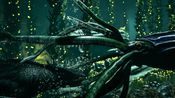 Get ARK: Survival Evolved Explorer's Edition Steam Key GLOBAL