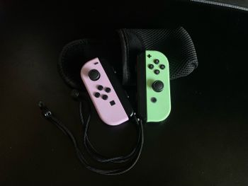 Nintendo Switch Pastel Purple / Green Joy-Con Controllers / Pulteliai