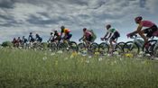 Buy Tour de France 2024 (Xbox Series X|S) XBOX LIVE Key UNITED STATES