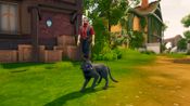 Buy The Witch of Fern Island (PC) Steam Key GLOBAL