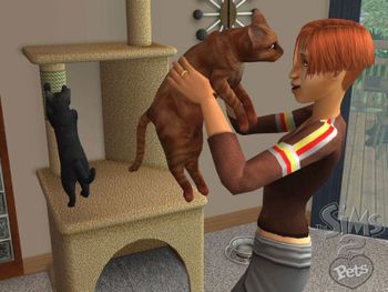 The Sims 2: Pets Game Boy Advance for sale