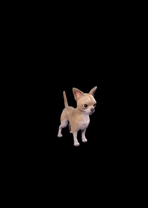 Fortnite - Teacup Chi-Pup Sidekick (DLC) Epic Games Key GLOBAL